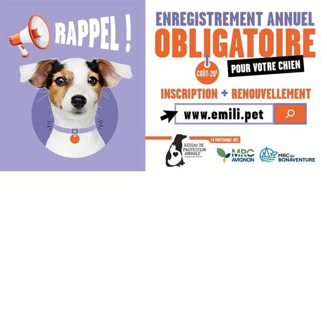 ENREGISTREMENT DES CHIENS