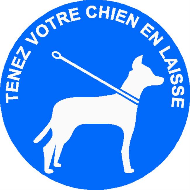 Avis concernant les chiens